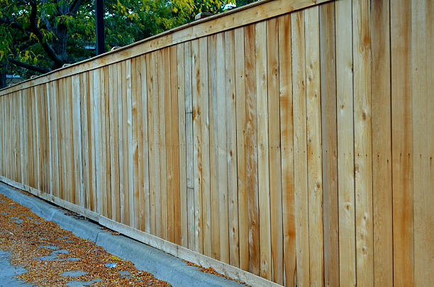 istock A wood wall fence 2247945844