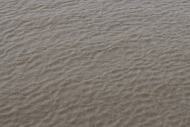 Shallow water with gentle ripples