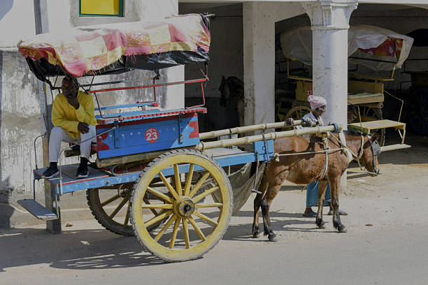 murshidabad, west bengal, india- november 19, 2025: colorful horse-drawn 'tonga number 23' waiting with driver and passenger, a classic mode of tourist transport