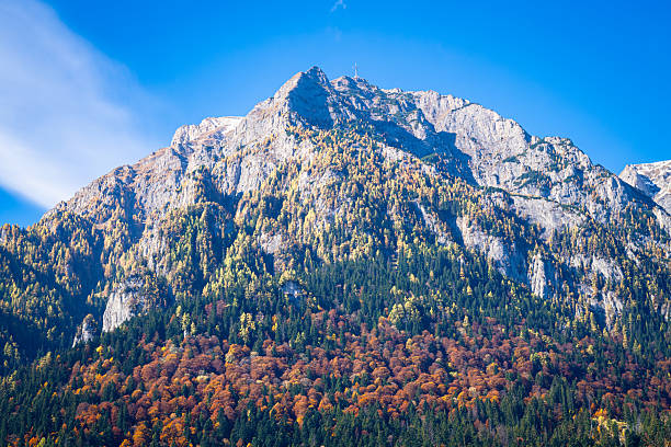 istock Vibrant autumn foliage in the Bucegi Mountains, Romania 2247948285