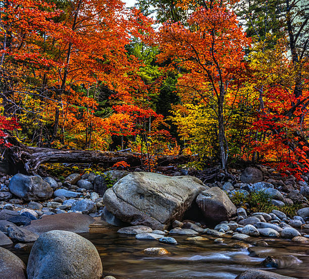 istock Autumn on the swift river 2247956140