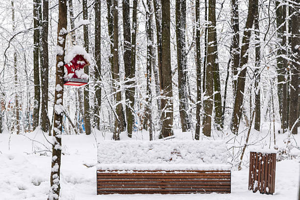 Snowfall, a bench covered with snow in a city park