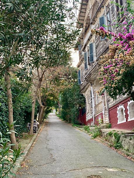 istock heybeliada island views, istanbul, turkiye 2247960452
