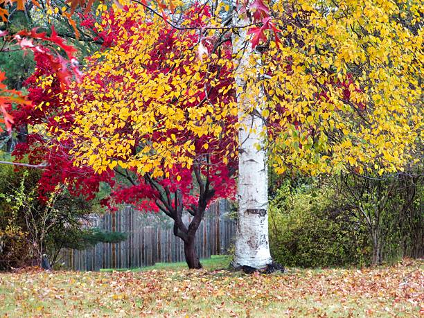 Beautiful Fall colors in the Hudson Valley New York