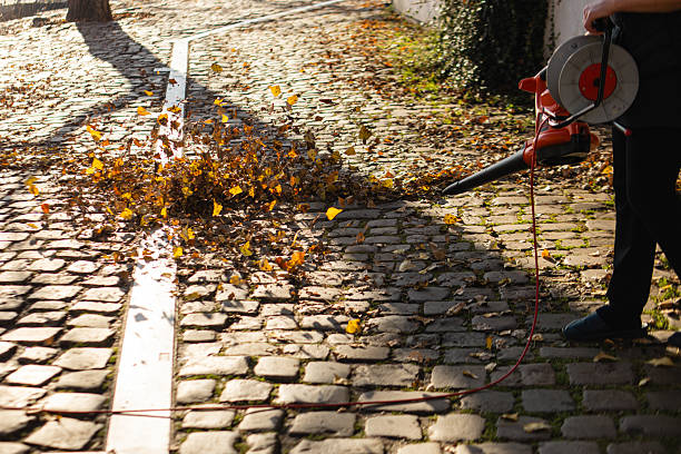 Person using a leaf blower on an old cobblestone path, cleaning fallen autumn leaves in bright sunlight. Seasonal tidying