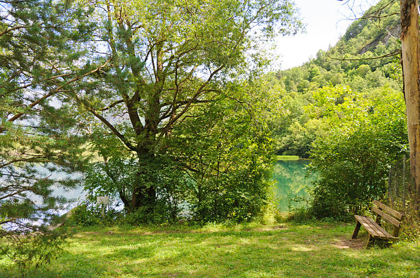 istock Wooden bench overlooking tranquil lake surrounded by lush forest 2247969252