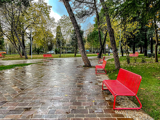 istock Reflective path lined with vivid trees and damp pavement awaiting visitors 2247971964