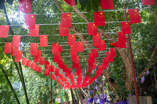 Wood road in Xishuangbanna