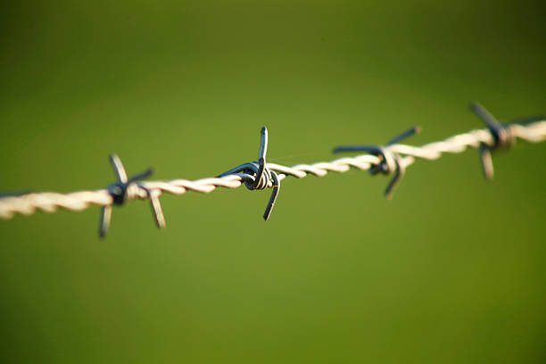 Barbed wire fence with green background. Sunbeam at dusk. Galicia, Spain.