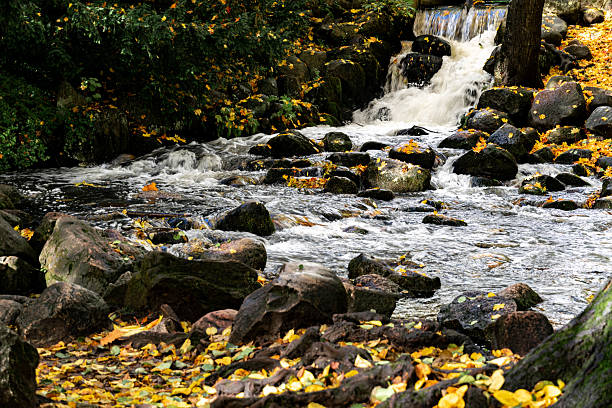 Beautiful autumn landscape. Water flowing over the boulders and fallen autumn leave. Forest spring