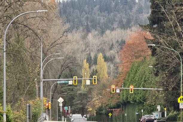istock Burnaby, BC, Canada - November 08, 2024. View of forest mountains in autumn 2247985113