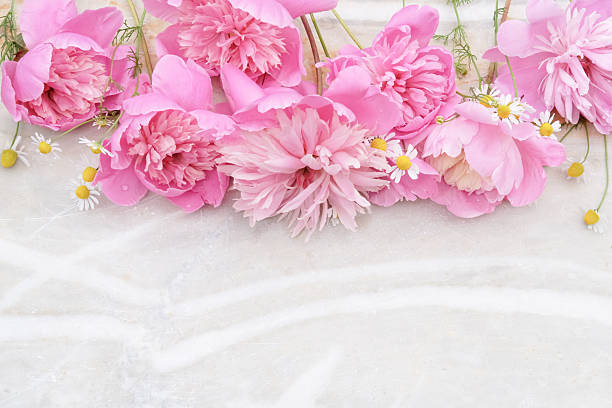 Soft pink peonies and chamomile flowers arranged on a pale marble surface. Perfect for elegant, romantic, or spa-themed designs. Copy space
