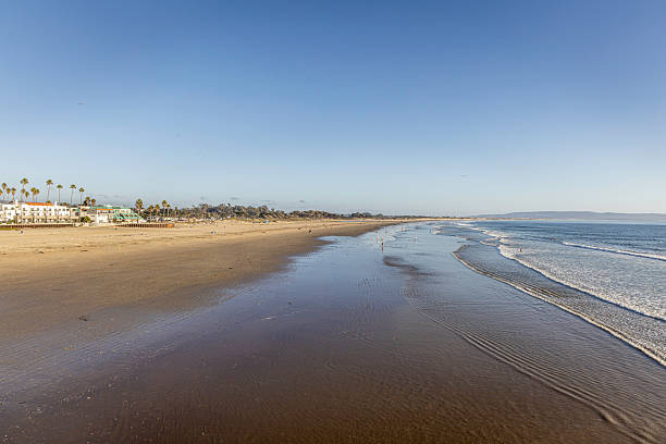 istock Sunny California beach scene with palm-lined coast, gentle waves 2247985374