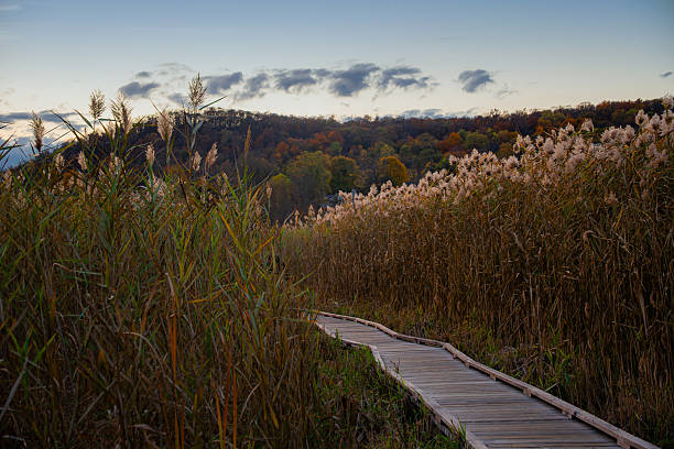 Appalachian Trail Pochuck Boardwalk, Vernon Valley, New Jersey
