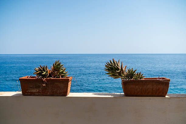 A vibrant, sunlit photograph capturing the expansive, deep blue Mediterranean Sea as viewed from a coastal balcony or terrace, with two succulent plants (likely Aloe Vera or similar Agave species) in terracotta pots in the foreground. The image evokes a serene holiday atmosphere, highlighting the contrast between the rustic potted plants and the calm, vast seascape under a clear blue sky, characteristic of the Sicilian coastline.