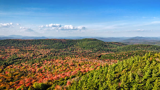 istock Fall Foliage high above the Adirondack Mountains 2248008806