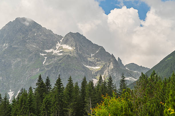 istock High mountain peaks rising above dense conifer forest under bright sky with dramatic clouds. 2248011633