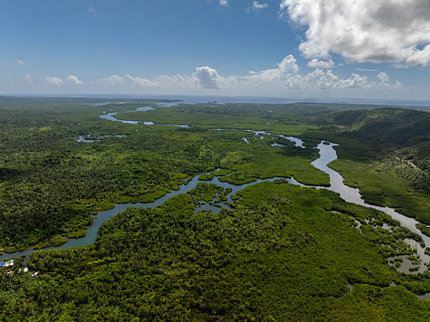 istock River winding through tropical green landscape. Siargao, Philippines. 2248014530