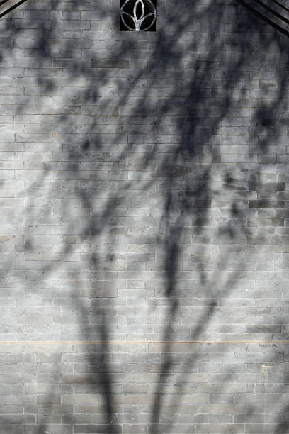 istock Shadows of trees cast on a gray brick wall with a small window 2248017871