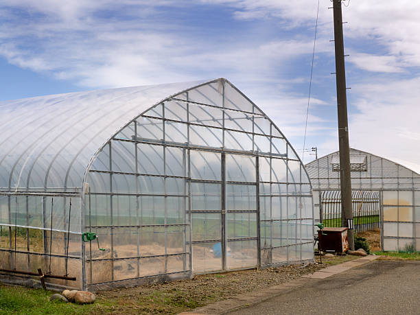 istock Agricultural greenhouses 2248018979