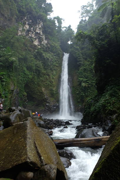istock Waterfall cascading down mossy rocks in lush green rainforest 2248022455