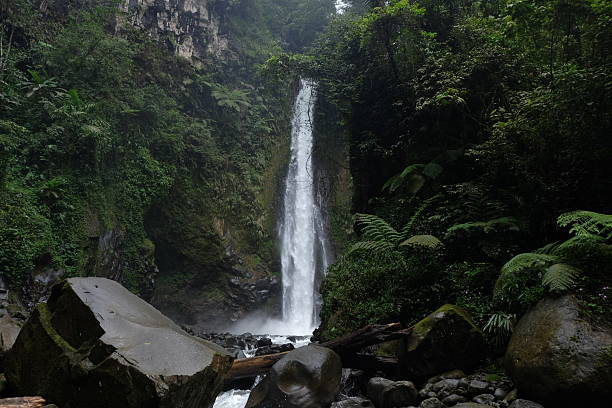 istock Waterfall cascading down mossy rocks in lush green rainforest 2248022517