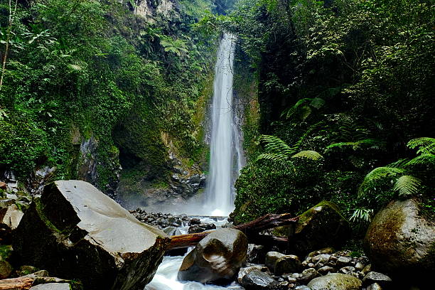istock Waterfall cascading down mossy rocks in lush green rainforest 2248022578