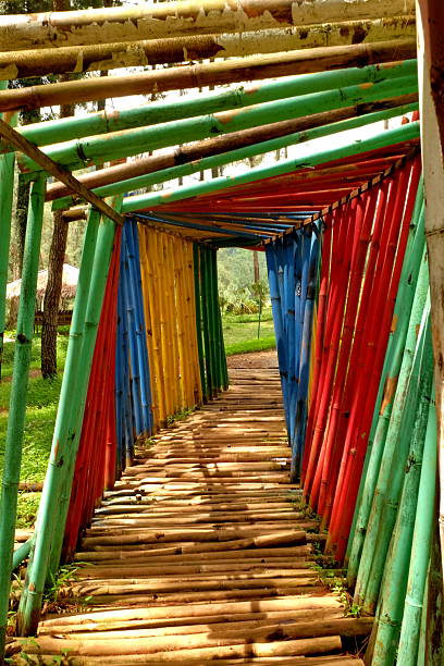 istock Colorful bamboo tunnel creates a whimsical pathway through lush garden 2248023187
