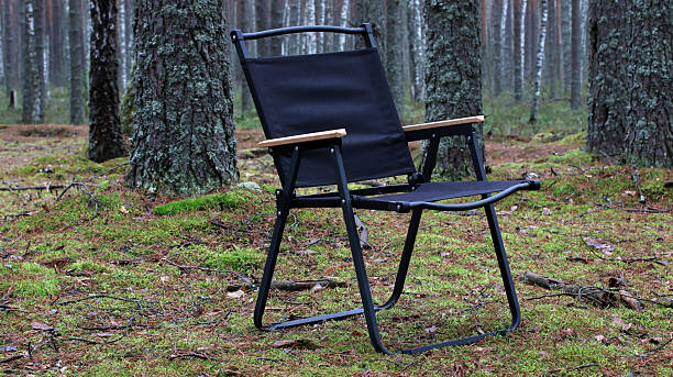 istock Portable camping chair standing in tranquil forest nature 2248023220