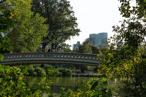 Bow Bridge in Central Park under a shining sun. New York City, USA