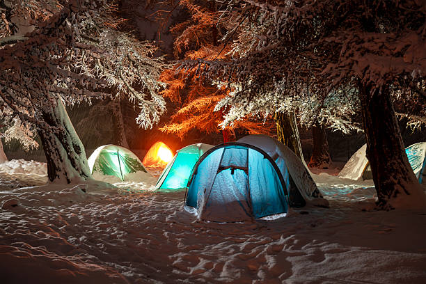istock Snowcapped tourist tents under big pine trees at night time 2248026902