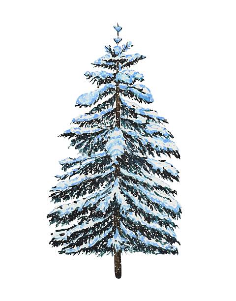 istock Hand drawn snowy blue spruce. Christmas decor. Watercolor illustration. 2248027292