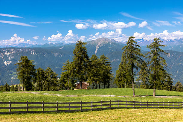 istock Cabin at Giogo di Meltina, South Tyrol 2248031274
