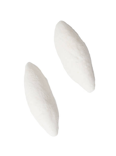 istock Two white milk candies isolated on white background. Close-up 2248033209