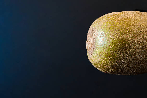 A single unpeeled kiwi fruit suspended against a soft dark gradient background. The composition highlights the organic texture and natural imperfections of the fruit, celebrating simplicity and purity in nature. Ideal for minimalist food or botanical themes with copy space for design.