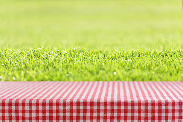 istock Empty red and white checkered tablecloth for picnic and field of fresh green grass 2248041109