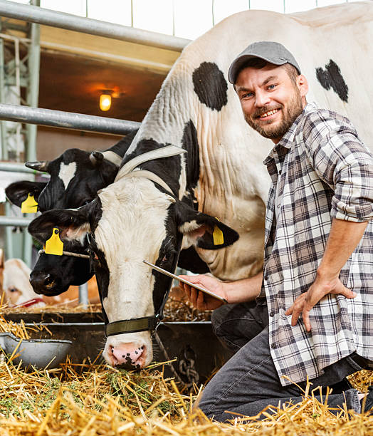 Male livestock farmer smiling and holding digital tablet while inspecting cows at cattle farm