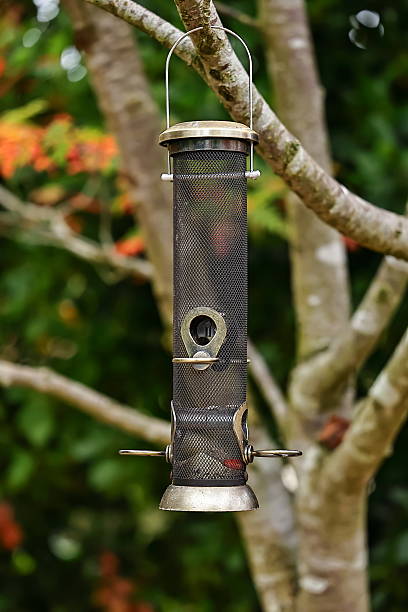 istock Heritage Squirrel Proof birds seed feeder in the fall garden 2248043834