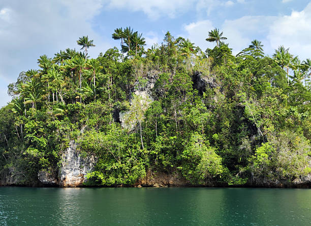 Lush vegetation and karst cliffs at The Passage dive site, a narrow passage of water separates Gam and Waigeo island in the Raja Ampat archipelago. It resembles a river flowing between the two islands.