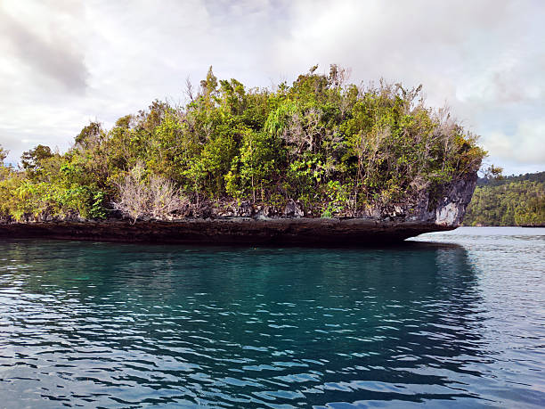 Karst islets off Gam island coast, a paradise for divers and snorkelers in Raja Ampat, an archipelago located on the northwest tip of West Papua, Indonesia.