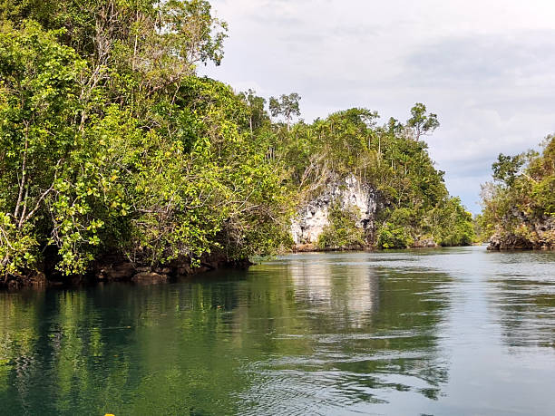 istock The Passage, Raja Ampat, Indonesia 2248045172
