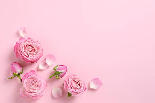 istock Beautiful composition with pink roses on color background 2248046106