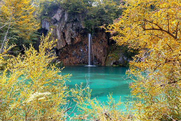 A lonely waterfall in the garden flows into a birch lake.