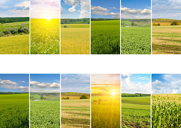 istock Agricultural Fields and Farm Landscapes Photo Collage with Copy Space 2248049156