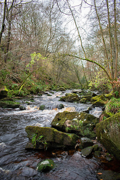 istock Autumn Scene in Hebden Bridge, West Yorkshire, UK 2248049553