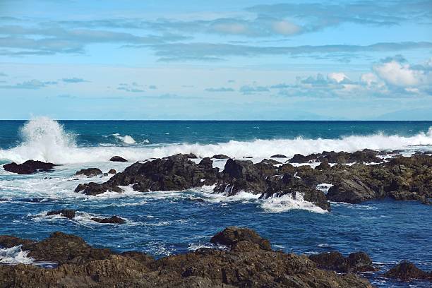 Owhiro Bay, Wellington, New Zealand - 11th August 2025:Storm waves bringing in the floating debris