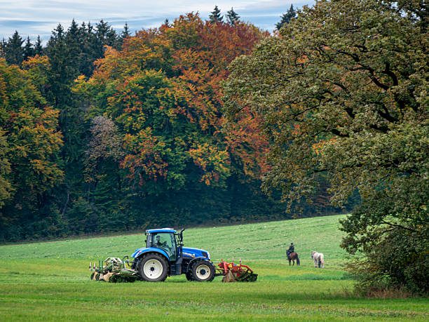 Tractor mowing a meadow in autumn, autumn mowing, Erling, Bavaria, Germany,  19. October 2024