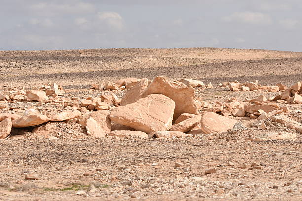 An arid landscape features scattered rocks and stones, revealing erosion patterns on the earth's surface under a clear blue sky. The dry, rocky ground stretches endlessly in the background.