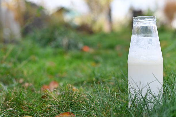 istock Glass Milk Bottle on Grass in Garden 2248053895