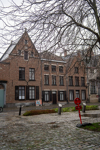 istock Mechelen Atmosphere: Traditional Facades under a Cloudy Sky and Wet Cobblestones 2248054044